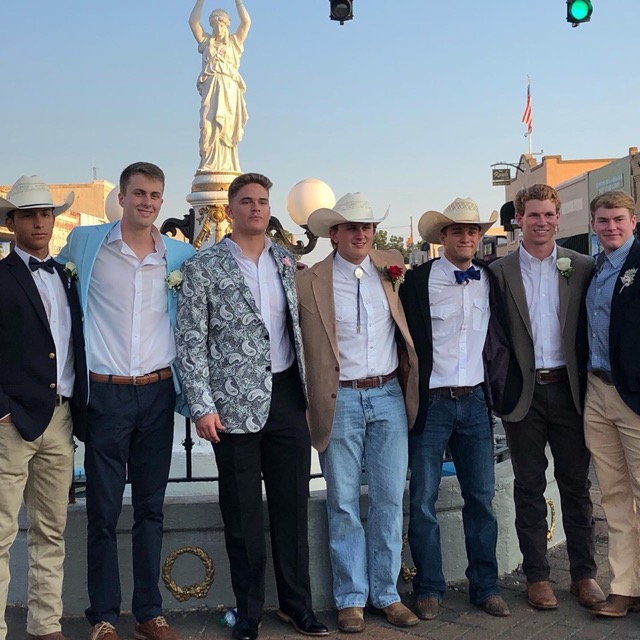 Boll Weevil Monument