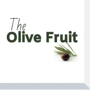 The Olive Fruit